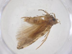  ( - CBG-A62444-B05)  @11 [ ] CreativeCommons - Attribution Share - Alike (2025) Centre for Biodiversity Genomics Centre for Biodiversity Genomics