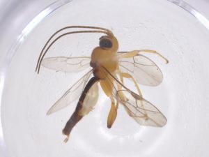  ( - CBG-A62465-F02)  @11 [ ] CreativeCommons - Attribution Share - Alike (2025) Centre for Biodiversity Genomics Centre for Biodiversity Genomics