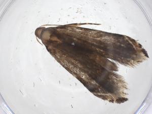  ( - CBG-A62479-D01)  @11 [ ] CreativeCommons - Attribution Share - Alike (2025) Centre for Biodiversity Genomics Centre for Biodiversity Genomics