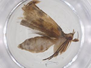  ( - CBG-A62685-C07)  @11 [ ] CreativeCommons - Attribution Share - Alike (2025) Centre for Biodiversity Genomics Centre for Biodiversity Genomics