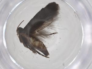  ( - CBG-A62685-F07)  @11 [ ] CreativeCommons - Attribution Share - Alike (2025) Centre for Biodiversity Genomics Centre for Biodiversity Genomics