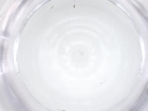  ( - CBG-A62721-C12)  @11 [ ] CreativeCommons - Attribution Share - Alike (2025) Centre for Biodiversity Genomics Centre for Biodiversity Genomics