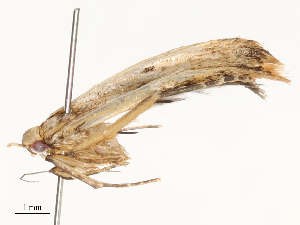  ( - CBG-A62870-D05)  @11 [ ] CreativeCommons - Attribution Share - Alike (2025) CBG Photography Group Centre for Biodiversity Genomics