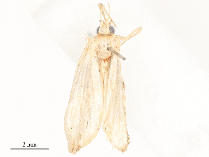  ( - CBG-A62870-E04)  @11 [ ] CreativeCommons - Attribution Share - Alike (2025) CBG Photography Group Centre for Biodiversity Genomics