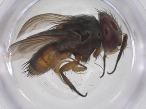  ( - CBG-A63512-F05)  @11 [ ] CreativeCommons - Attribution Share - Alike (2025) Centre for Biodiversity Genomics Centre for Biodiversity Genomics