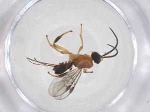  ( - CBG-A63604-F05)  @11 [ ] CreativeCommons - Attribution Share - Alike (2025) Centre for Biodiversity Genomics Centre for Biodiversity Genomics