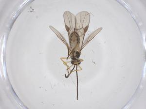  ( - CBG-A63635-C09)  @11 [ ] CreativeCommons - Attribution Share - Alike (2025) Centre for Biodiversity Genomics Centre for Biodiversity Genomics