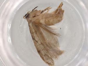  ( - BIOUG80030-A07)  @11 [ ] CreativeCommons - Attribution (2022) Centre for Biodiversity Genomics Centre for Biodiversity Genomics