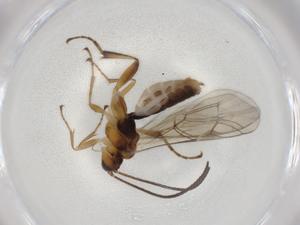  ( - BIOUG86062-E02)  @11 [ ] CreativeCommons - Attribution (2022) Centre for Biodiversity Genomics Centre for Biodiversity Genomics