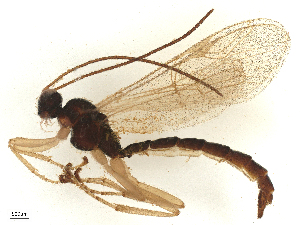  ( - CBG-A20166-H04)  @11 [ ] CreativeCommons - Attribution Share - Alike (2025) CBG Photography Group Centre for Biodiversity Genomics
