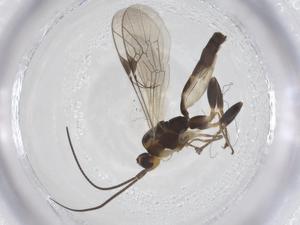  ( - CBG-A54998-F07)  @11 [ ] CreativeCommons - Attribution Share - Alike (2024) Centre for Biodiversity Genomics Centre for Biodiversity Genomics