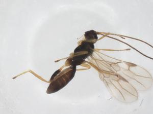  ( - CBG-A55023-F07)  @11 [ ] CreativeCommons - Attribution Share - Alike (2024) Centre for Biodiversity Genomics Centre for Biodiversity Genomics