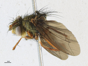  ( - CBG-A16707-C02)  @11 [ ] CreativeCommons - Attribution Share - Alike (2023) CBG Photography Group Centre for Biodiversity Genomics