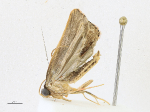  ( - CBG-A13359-B07)  @11 [ ] CreativeCommons - Attribution Share-Alike (2023) CBG Photography Group Centre for Biodiversity Genomics