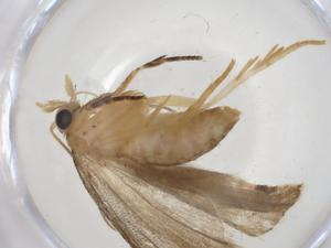  ( - CBG-A14236-C05)  @11 [ ] CreativeCommons - Attribution Share - Alike (2023) Centre for Biodiversity Genomics Centre for Biodiversity Genomics