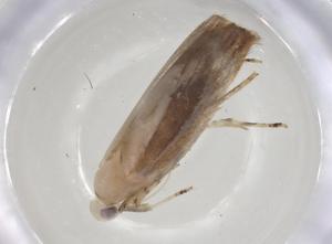  ( - CBG-A04231-E02)  @11 [ ] CreativeCommons - Attribution (2023) Centre for Biodiversity Genomics Centre for Biodiversity Genomics