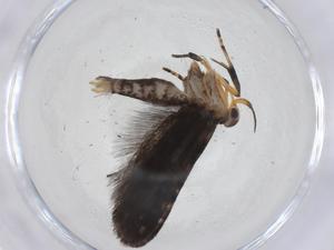  ( - CBG-A08069-E10)  @11 [ ] CreativeCommons - Attribution Share - Alike (2023) Centre for Biodiversity Genomics Centre for Biodiversity Genomics