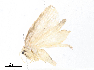  (depMalaise01 Malaise7837 - CBG-A06262-B11)  @11 [ ] CreativeCommons - Attribution Share - Alike (2023) CBG Photography Group Centre for Biodiversity Genomics