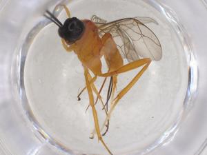  ( - CBG-A08554-B09)  @11 [ ] CreativeCommons - Attribution (2023) Centre for Biodiversity Genomics Centre for Biodiversity Genomics