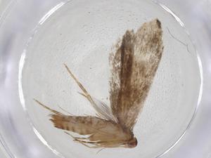  ( - CBG-A08582-F06)  @11 [ ] CreativeCommons - Attribution Share - Alike (2023) Centre for Biodiversity Genomics Centre for Biodiversity Genomics