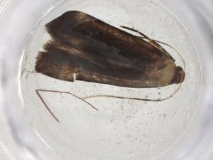  ( - CBG-A08610-A09)  @11 [ ] CreativeCommons - Attribution Share - Alike (2023) Centre for Biodiversity Genomics Centre for Biodiversity Genomics