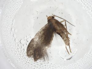  ( - CBG-A08626-E04)  @11 [ ] CreativeCommons - Attribution Share - Alike (2023) Centre for Biodiversity Genomics Centre for Biodiversity Genomics