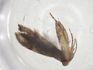  ( - CBG-A08665-C09)  @11 [ ] CreativeCommons - Attribution Share - Alike (2023) Centre for Biodiversity Genomics Centre for Biodiversity Genomics