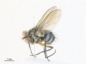  ( - CBG-A36830-G01)  @11 [ ] CreativeCommons - Attribution Share - Alike (2024) CBG Photography Group Centre for Biodiversity Genomics