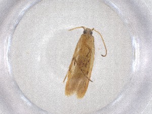  ( - CBG-A53359-B03)  @11 [ ] CreativeCommons - Attribution Share - Alike (2024) Centre for Biodiversity Genomics Centre for Biodiversity Genomics