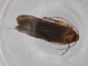  ( - BIOUG75398-H04)  @11 [ ] CreativeCommons - Attribution (2022) Centre for Biodiversity Genomics Centre for Biodiversity Genomics