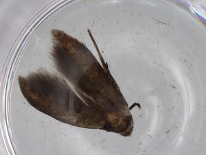  ( - BIOUG75398-H05)  @11 [ ] CreativeCommons - Attribution (2022) Centre for Biodiversity Genomics Centre for Biodiversity Genomics