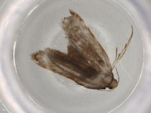  ( - BIOUG75399-A08)  @11 [ ] CreativeCommons - Attribution (2022) Centre for Biodiversity Genomics Centre for Biodiversity Genomics