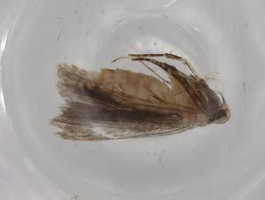  ( - BIOUG76310-B04)  @11 [ ] CreativeCommons - Attribution (2022) Centre for Biodiversity Genomics Centre for Biodiversity Genomics