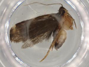  ( - BIOUG76326-F02)  @11 [ ] CreativeCommons - Attribution (2022) Centre for Biodiversity Genomics Centre for Biodiversity Genomics