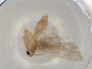  ( - BIOUG76326-G05)  @11 [ ] CreativeCommons - Attribution (2022) Centre for Biodiversity Genomics Centre for Biodiversity Genomics