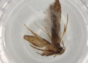  ( - BIOUG76595-F01)  @11 [ ] CreativeCommons - Attribution (2022) Centre for Biodiversity Genomics Centre for Biodiversity Genomics