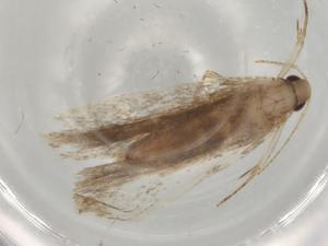  ( - BIOUG76650-E01)  @11 [ ] CreativeCommons - Attribution (2022) Centre for Biodiversity Genomics Centre for Biodiversity Genomics