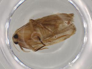  ( - BIOUG76650-G07)  @11 [ ] CreativeCommons - Attribution (2022) Centre for Biodiversity Genomics Centre for Biodiversity Genomics