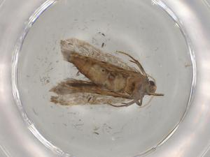  ( - BIOUG76923-E05)  @11 [ ] CreativeCommons - Attribution (2022) Centre for Biodiversity Genomics Centre for Biodiversity Genomics