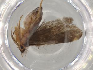  ( - BIOUG76923-F11)  @11 [ ] CreativeCommons - Attribution (2022) Centre for Biodiversity Genomics Centre for Biodiversity Genomics