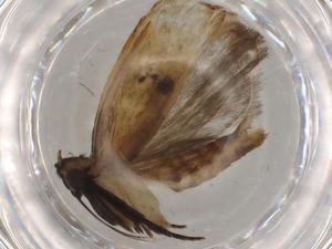  ( - BIOUG79341-C06)  @11 [ ] CreativeCommons - Attribution (2022) Centre for Biodiversity Genomics Centre for Biodiversity Genomics