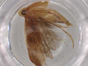  ( - BIOUG79348-G03)  @11 [ ] CreativeCommons - Attribution (2022) Centre for Biodiversity Genomics Centre for Biodiversity Genomics