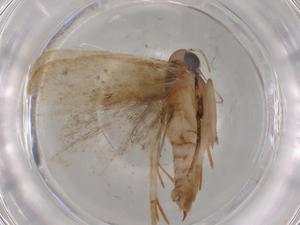  ( - BIOUG79348-G04)  @11 [ ] CreativeCommons - Attribution (2022) Centre for Biodiversity Genomics Centre for Biodiversity Genomics