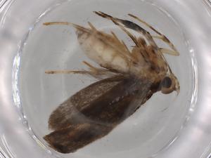  ( - BIOUG79348-G07)  @11 [ ] CreativeCommons - Attribution (2022) Centre for Biodiversity Genomics Centre for Biodiversity Genomics