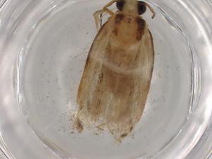  ( - BIOUG79371-E07)  @11 [ ] CreativeCommons - Attribution (2022) Centre for Biodiversity Genomics Centre for Biodiversity Genomics