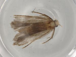  ( - BIOUG79396-H02)  @11 [ ] CreativeCommons - Attribution (2022) Centre for Biodiversity Genomics Centre for Biodiversity Genomics