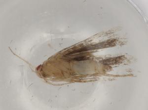  ( - BIOUG79485-D10)  @11 [ ] CreativeCommons - Attribution (2022) Centre for Biodiversity Genomics Centre for Biodiversity Genomics