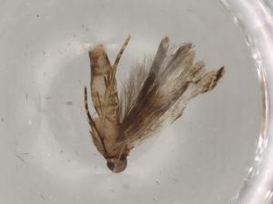  ( - BIOUG79492-C09)  @11 [ ] CreativeCommons - Attribution (2022) Centre for Biodiversity Genomics Centre for Biodiversity Genomics