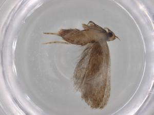  ( - BIOUG79878-A07)  @11 [ ] CreativeCommons - Attribution (2022) Centre for Biodiversity Genomics Centre for Biodiversity Genomics