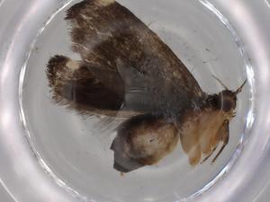  ( - BIOUG79882-B10)  @11 [ ] CreativeCommons - Attribution (2022) Centre for Biodiversity Genomics Centre for Biodiversity Genomics